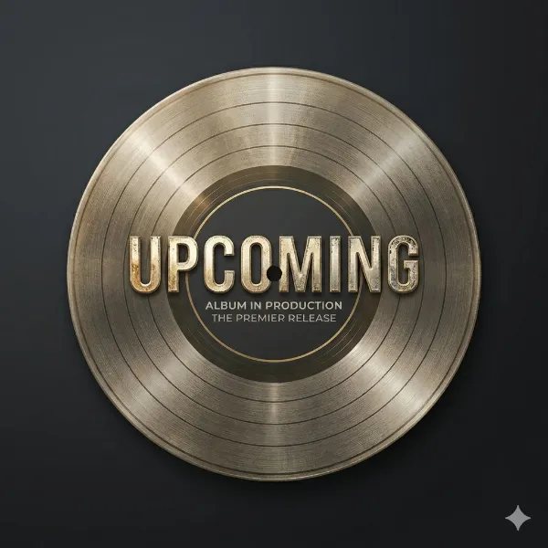 制作中 WIP
